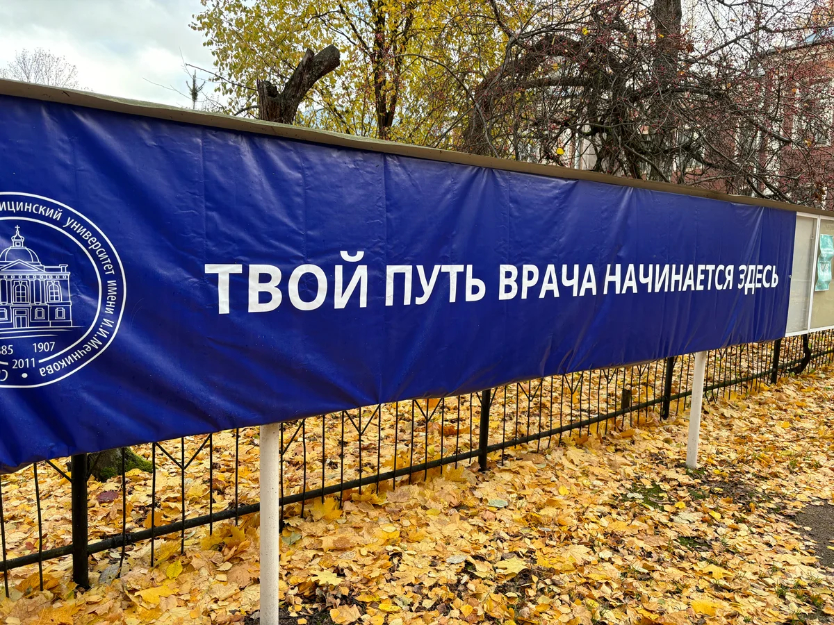Фото: Дмитрий Цыганов