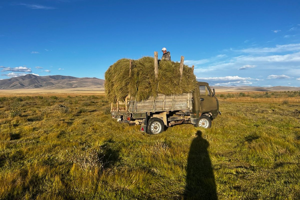 Село Кокоря Республики Алтай. Фото из личного архива родственников Будулая.