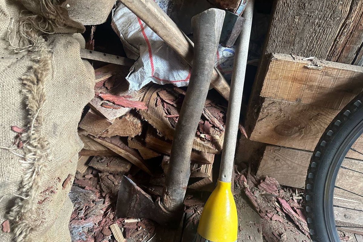 Фото: ГСУ СК России по Красноярскому краю и Республике Хакасия /  Telegram