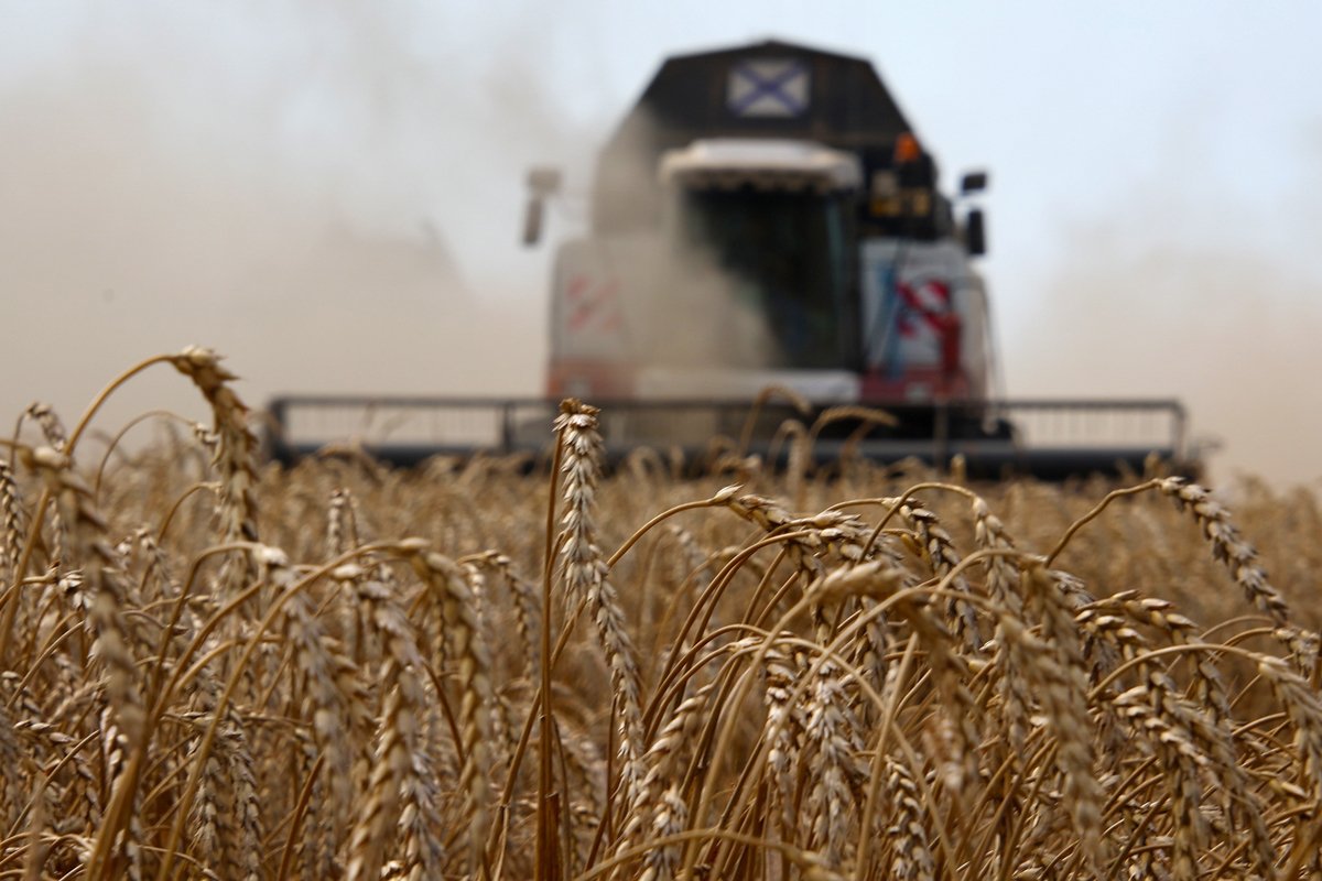 Уборка зерновых на полях крестьянско-фермерского хозяйства «Деметра» в Ростовской области, 2023 год. Фото: Василий Дерюгин / Коммерсантъ / Sipa USA / Vida Press