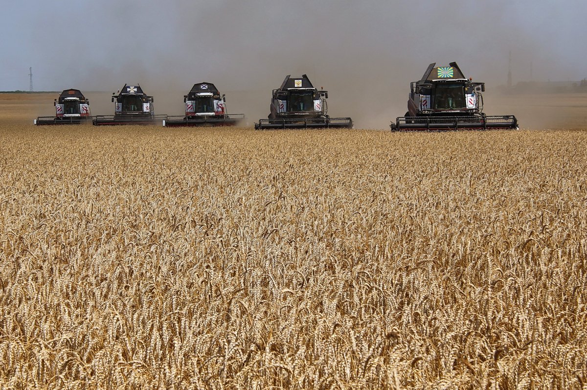Уборка зерновых в Ростовской области на полях крестьянско-фермерского хозяйства «Деметра», 2023 год. Фото: Василий Дерюгин / Коммерсантъ / Sipa USA / Vida Press